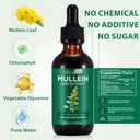 2-pack-mullein-drops-for-lungs-natural-m-3.jpg