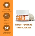 troomy-lions-mane-focus-gummies-30-count-2.jpg