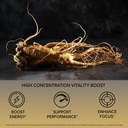 orzax-milk-thistle-plus-120-vegatable-ca-5.jpg