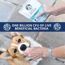 under-the-weather-pet-soft-dog-chew-supp-5.jpg