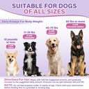 probiotics-for-dogs-dog-probiotic-chews--6.jpg