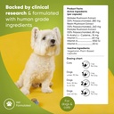 rooted-owl-natural-immunity---cat-and-do-4.jpg