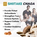adaptogenic-4-1-mushroom-extract-gummies-5.jpg