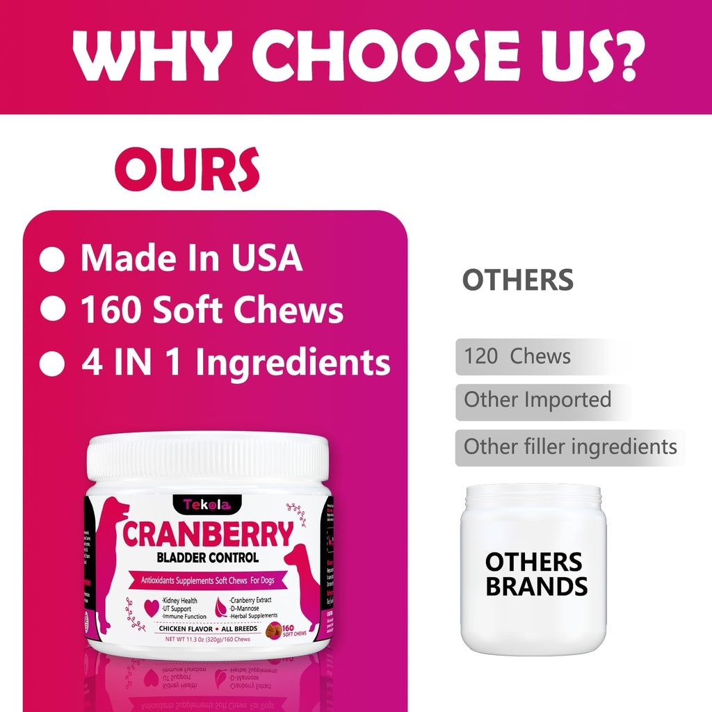 cranberry-bladder-health-for-dogs---dog--4.jpg