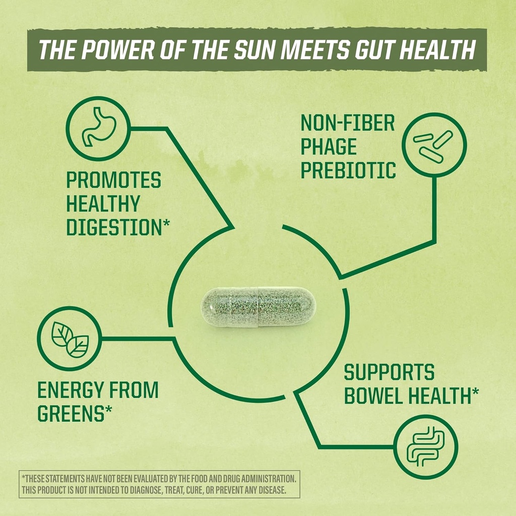 Sunwarrior Probiotics Soil-based Vegan Capsules | 10 billion CFU for Digestion Soy Free Gluten Free Dairy Free | 30 CT 5