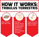 Force Factor Tribulus Terrestris 60ct (pack of 2) 6