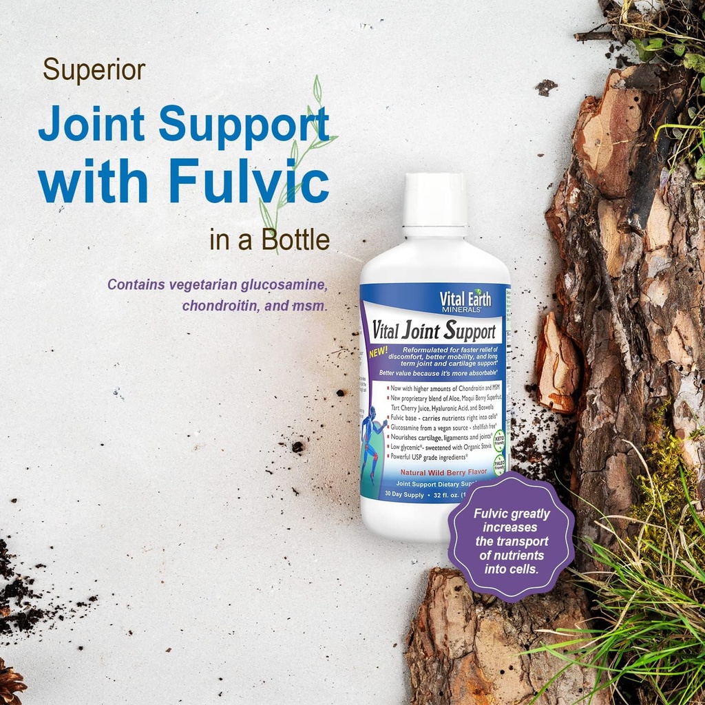 Vital Earth Liquid Joint Support Supplement 2-Pack – Glucosamine, Chondroitin, MSM Plus Hyaluronic Acid, Boswellia & Fulvic Acid (70+ Trace Minerals), 32 Oz Ea 6