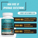 2400 MG Liposomal Glutathione Softgels, Max Absorption, Active Form L-Glutathione Reduced (GSH), with Hyaluronic Acid, Resveratrol, Master Antioxidants for Detox, Brain, Immune System, 480 Softgels 4