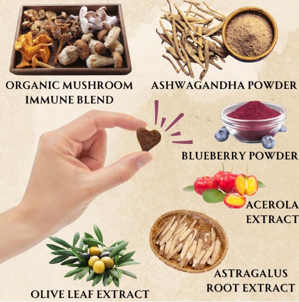 Dogs Immune Support Mushroom Supplement - Supports Longevity, Cognition, Joint, Cellular & Gut Health - All Natural Organic, GrainFree - Aid for Lumps and Bumps, Chicken Flavor - 90 Chews 4