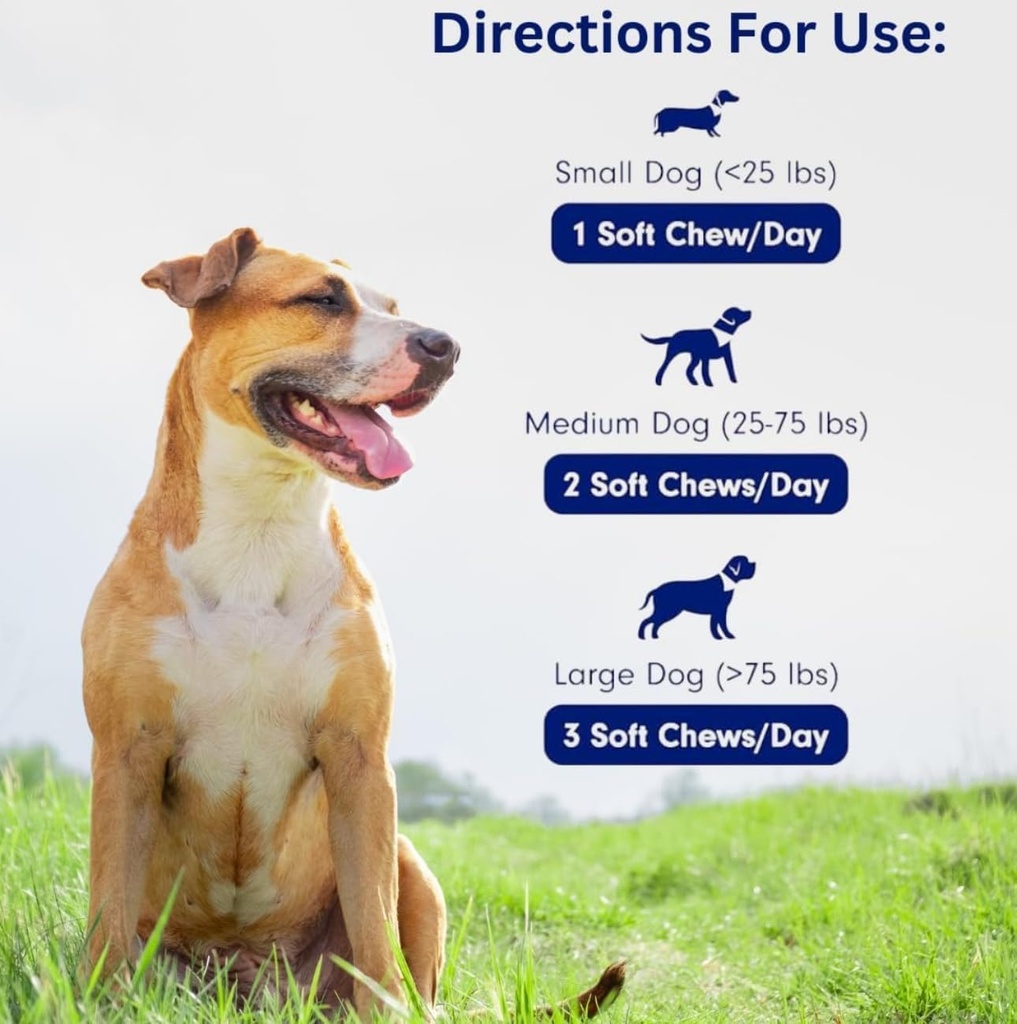 Dogs Immune Support Mushroom Supplement - Supports Longevity, Cognition, Joint, Cellular & Gut Health - All Natural Organic, GrainFree - Aid for Lumps and Bumps, Chicken Flavor - 90 Chews 6