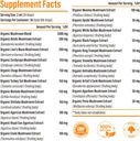 Liposomal Mushroom Complex Drops 2000 MG - 20 Organic Mushroom Extracts - Advanced Liquid Formula for Immunity, Cognitive and Memory - Lions Mane Supplement, Reishi, Cordyceps, Chaga, 300 Servings 3