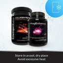 intelligent-labs-2-in-1-bundle-of-magenh-4.jpg