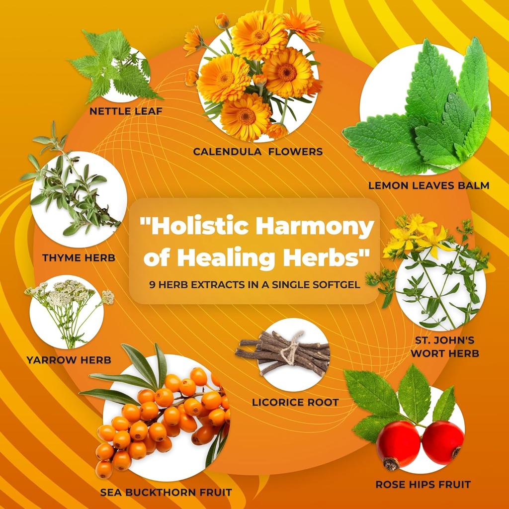 Gastroherb 9 Herb Extract - Airborne Immune Support Supplement - St Johns Wort Licorice Root Thyme Oil Immunity Supplement - Digestive Enzymes Immune System Booster - 90 Softgels 6