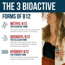 Organic Vitamin B12 - 5000 mcg, 3 BioActive Forms B12: Methyl B12, Adenosyl B12 & Hydroxy B12 - Plus L-Methylfolate Cofactor | Sublingual Form, Cherry Flavor, Vegan, Non-GMO (120 Servings - 2 Pack) 4