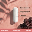 Algae Calcium & Vegan Vitamin B Complex Bundle - Calcium Supplement from Red Algae, Essential B Vitamins with Whole Food Blend, B1, B2, B3, B5, B6, B7, Folate 4