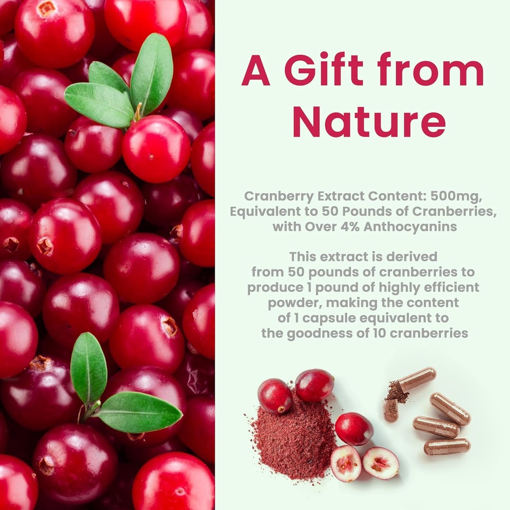kidney-cleanse-detox-repair-extra-streng-4.jpg