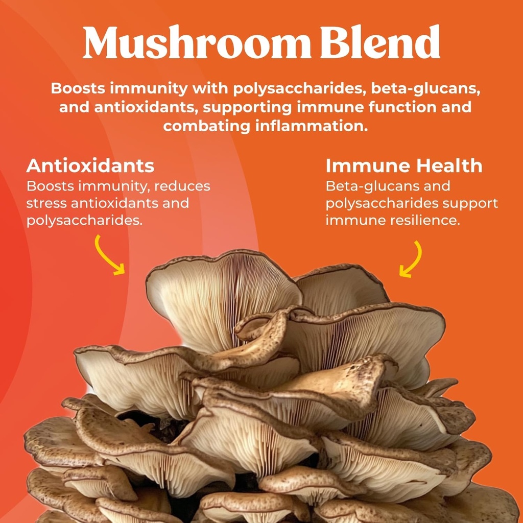 Fungiments Super Shield - Mushroom Supplement - Chaga, Maitake, Reishi, Shiitake, and Turkey Tail Mushrooms, Vitamin C, Zinc, Black Elderberry, Antioxidants - Immune Support (60 Capsules) 3