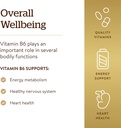 Solgar Vitamin B6 100 mg, 100 Tablets - Supports Energy Metabolism, Heart Health & Healthy Nervous System - B Complex Supplement - Vegan, Gluten Free, Dairy Free, Kosher - 100 Servings 6
