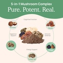 real-mushrooms-5-defenders-for-humans-45-4.jpg