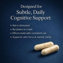 xenivra-synaptix-natural-nootropic-brain-2.jpg