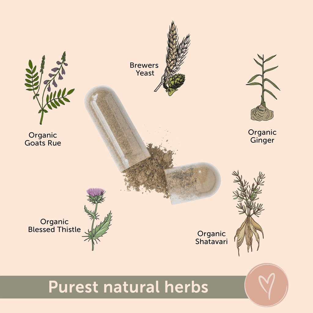 lactation-supplement-pcos-focused-lactat-4.jpg