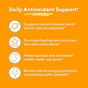 bee-propolis-extract-capsules-1000mg-sup-3.jpg