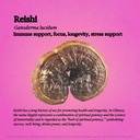 rainbo-brain-health-bundle-lion-s-mane-m-5.jpg