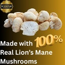 lion-s-mane-sugar-free-vegan-gummies-hig-5.jpg
