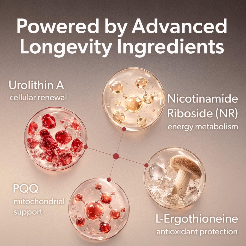 nao-urolithin-a-gummies-for-healthy-agin-2.jpg