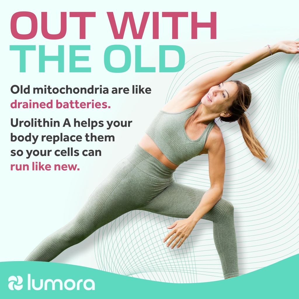 urolithin-a-supplement-cellular-renewal--5.jpg