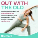 urolithin-a-supplement-cellular-renewal--5.jpg