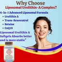 nikoni-liposomal-urolithin-a-supplement--6.jpg