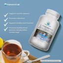 nature-s-lab-l-theanine-200-mg-supports--2.jpg