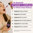 venture-pal-vitamin-b-complex-liquid-dro-5.jpg