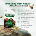 labo-nutrition-brazilian-green-propolis--3.jpg