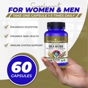 the-food-movement-co-sea-moss-master-for-6.jpg