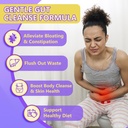 drfoster-probiotics-for-women-men-digest-5.jpg
