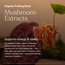 true-grace-one-daily-mens-multivitamin-f-4.jpg