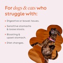 diggin-your-dog-firm-up-original-pumpkin-3.jpg