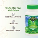 youngevity-ultimate-memory-fx-ginkgo-lea-5.jpg