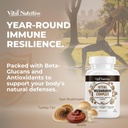 vital-10-in-1-mushroom-supplement-comple-6.jpg