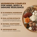 vital-10-in-1-mushroom-supplement-comple-2.jpg