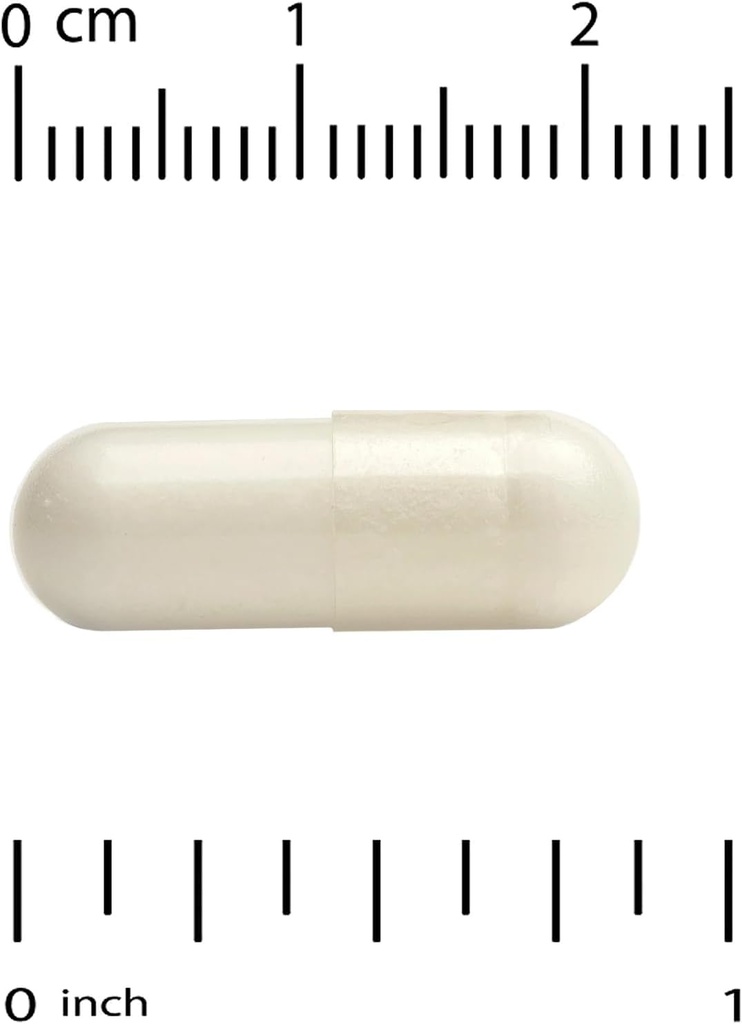california-gold-nutrition-acetyl-l-carni-3.jpg