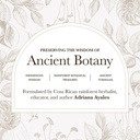 anima-mundi-apothecary-super-greens-powd-3.jpg