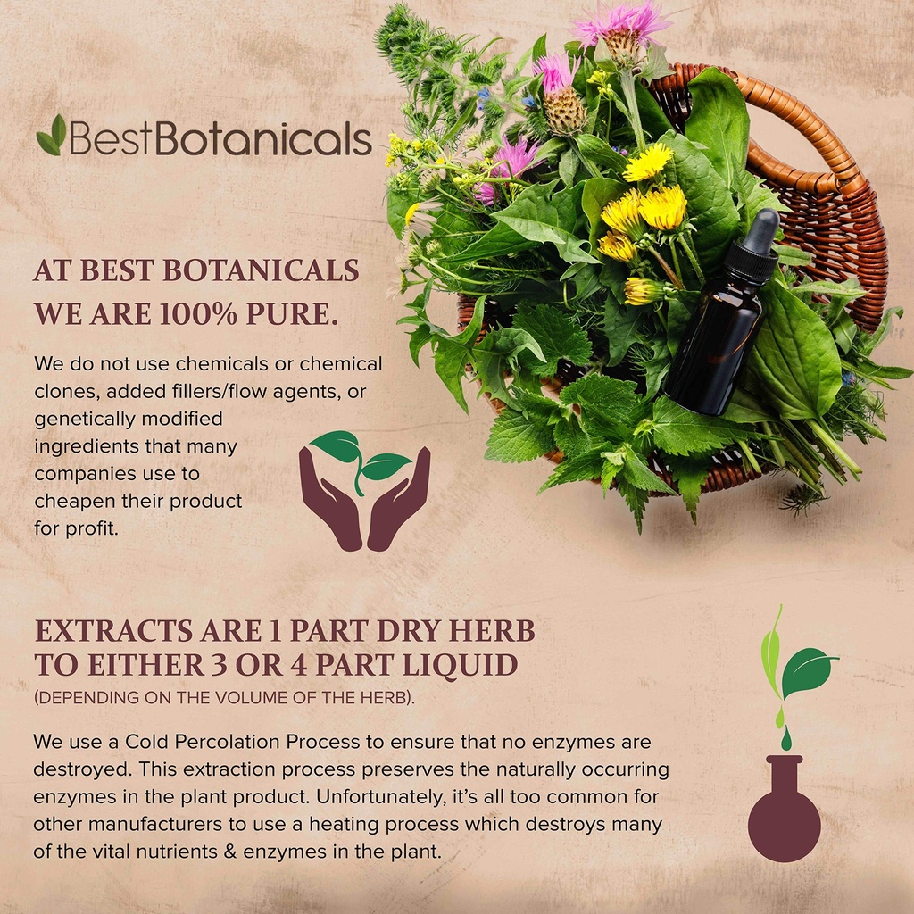 best-botanicals-astragalus-root-powder-1-5.jpg