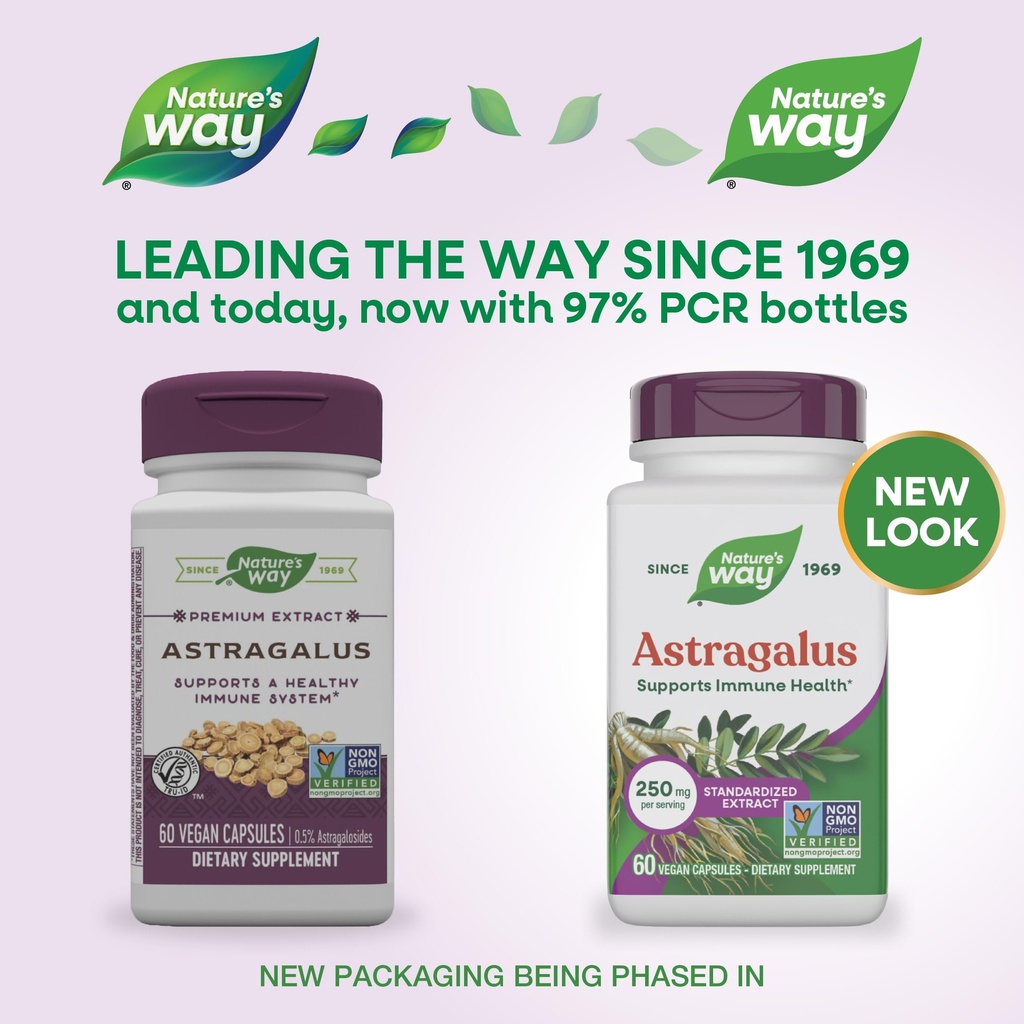 nature-s-way-astragalus-premium-extract--2.jpg