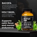 santa-cruz-paleo-nootropic-capsules-lion-6.jpg