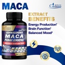 organic-cadane-maca-root-ashwagandha-pan-4.jpg