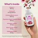 andrew-lessman-immune-factors-180-capsul-3.jpg