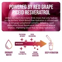 vinia-resveratrol-electrolyte-hydration--6.jpg